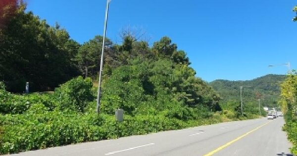 경상남도 김해시 진례면 시례리 산100-1  임야 경매 물건 이미지