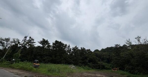 전북특별자치도 군산시 성산면 성덕리 산42-2  임야 경매 물건 이미지