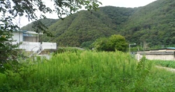 전라북도 완주군 상관면 용암리 487-4  전 경매 물건 이미지