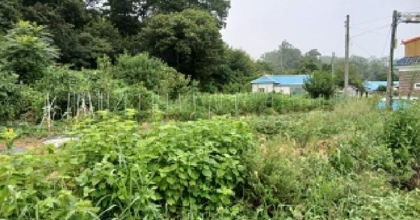 경기도 용인시 처인구 남사읍 북리 741-7  전 경매 물건 이미지