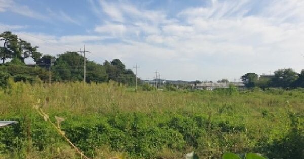 경기도 화성시 만세구 서신면 송교리 206  다가구주택 경매 물건 이미지