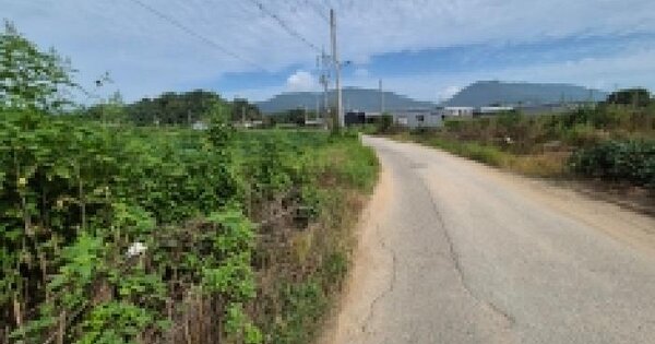 경기도 포천시 동교동 113  답 경매 물건 이미지