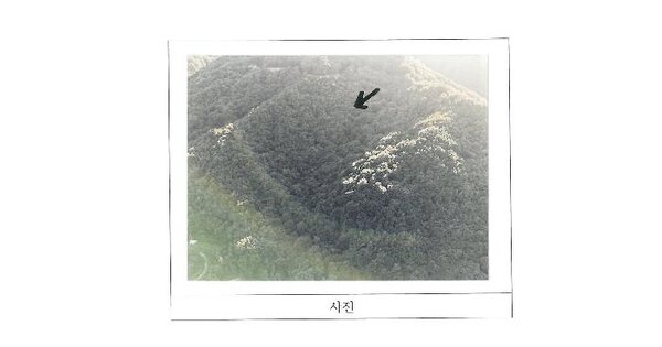경상북도 김천시 농소면 노곡리 산43  임야 경매 물건 이미지