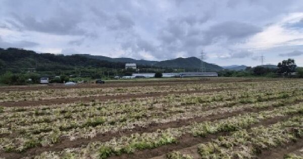 부산광역시 금정구 선동 600  답 경매 물건 이미지