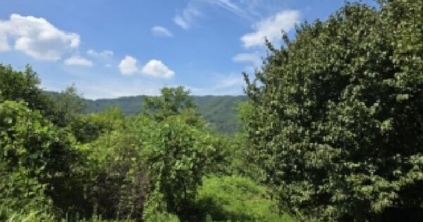 전남광주통합특별시 구례군 산동면 좌사리 589  답 경매 물건 이미지