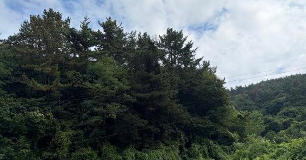 경상남도 고성군 하일면 용태리 529-6  미지정 경매 물건 이미지