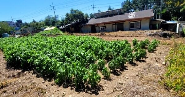 전남광주통합특별시 여수시 돌산읍 우두리 675-7  전 경매 물건 이미지