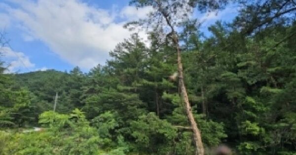 경상북도 봉화군 봉성면 우곡리 43  전 경매 물건 이미지