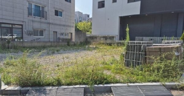 울산광역시 중구 장현동 164-10  대지 경매 물건 이미지