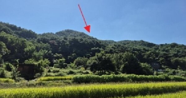 강원특별자치도 원주시 관설동 806-5  임야 경매 물건 이미지