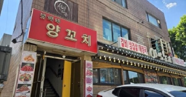 서울특별시 서초구 양재동 316  대지 경매 물건 이미지