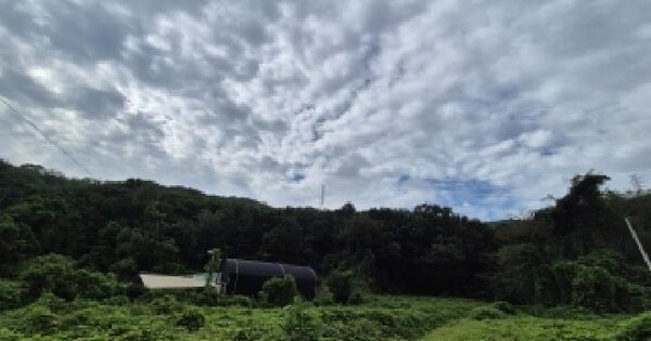 경기도 화성시 효행구 정남면 보통리 산85-50  미지정 경매 물건 이미지