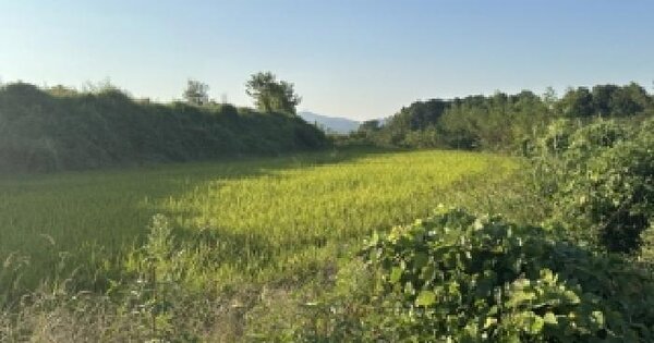 충청북도 청주시 흥덕구 강내면 탑연리 48-5  답 경매 물건 이미지