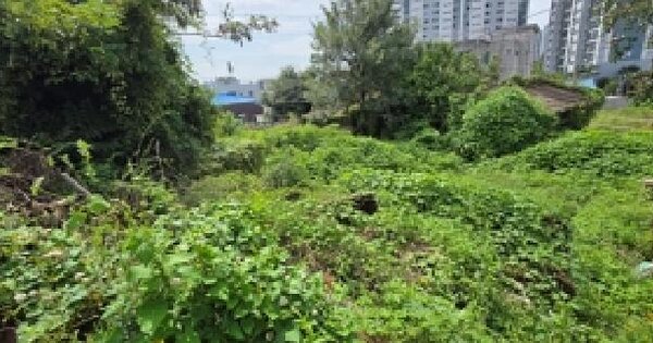 충청남도 홍성군 홍성읍 오관리 717  대지 경매 물건 이미지