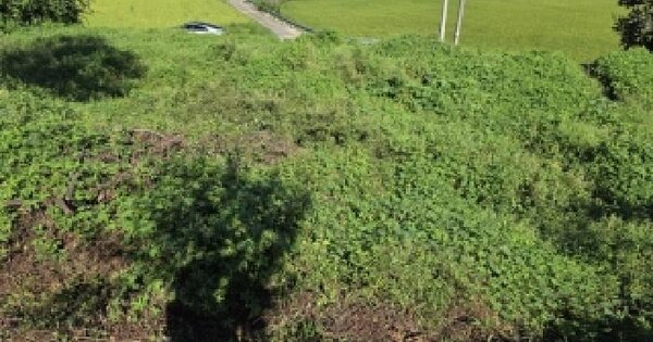 충청남도 청양군 청양읍 학당리 551  전 경매 물건 이미지