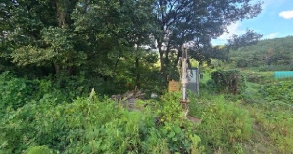 울산광역시 울주군 상북면 산전리 87  임야 경매 물건 이미지