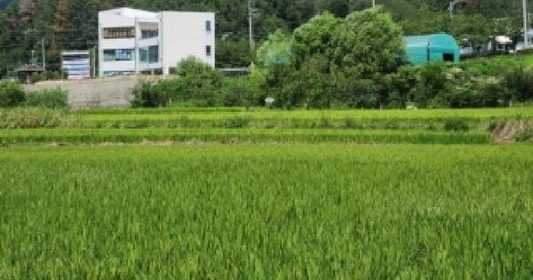 부산광역시 기장군 장안읍 용소리 202  답 경매 물건 이미지
