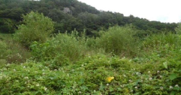 전북특별자치도 무주군 적상면 사천리 71  답 경매 물건 이미지