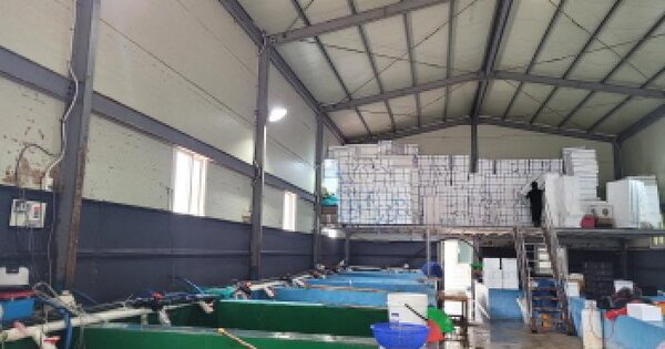 전남광주통합특별시 고흥군 과역면 백일리 산127 제1동 미지정 경매 물건 이미지