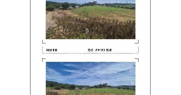 전남광주통합특별시 무안군 일로읍 의산리 510  전 경매 물건 이미지