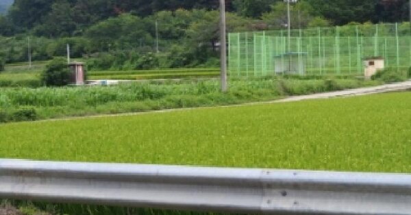 경상남도 창녕군 창녕읍 퇴천리 150  단독주택 경매 물건 이미지