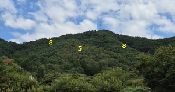 강원특별자치도 횡성군 둔내면 영랑리 2  전 경매 물건 이미지
