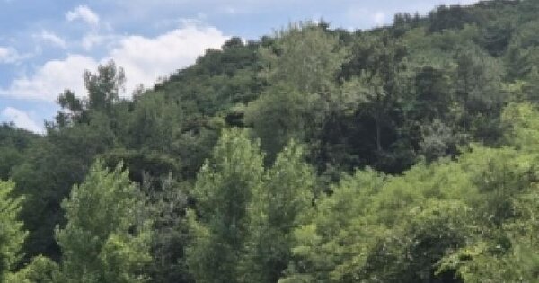 경상북도 영덕군 영덕읍 남산리 379-2  전 경매 물건 이미지