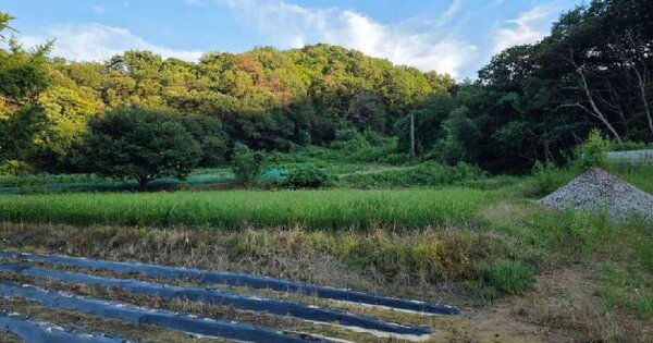 경기도 이천시 신둔면 고척리 410  답 경매 물건 이미지