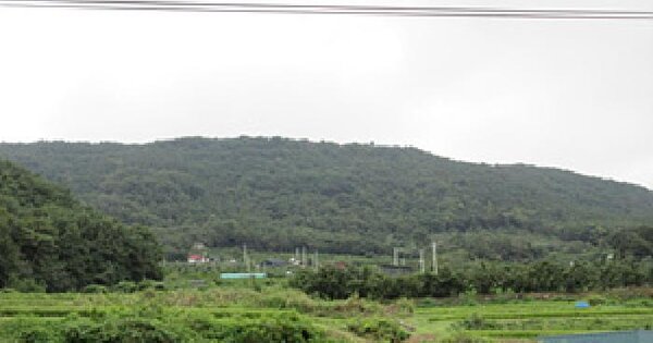 경상북도 예천군 풍양면 효갈리 산39  임야 경매 물건 이미지