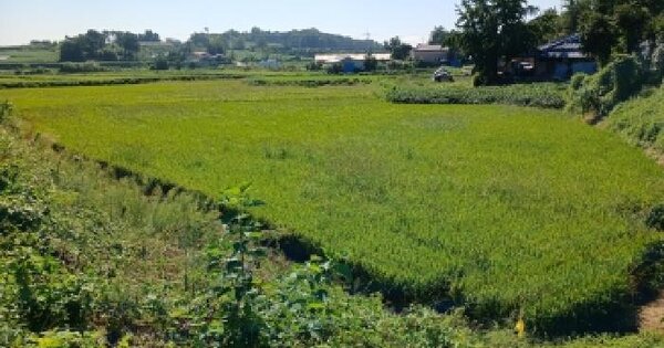 충청남도 당진시 순성면 중방리 164-1  대지 경매 물건 이미지