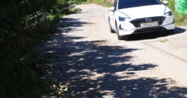 경상남도 밀양시 상동면 금산리 561  단독주택 경매 물건 이미지