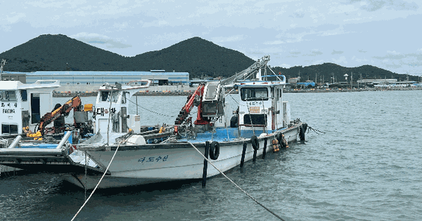 동력선 다도수산호 선박 경매 물건 이미지