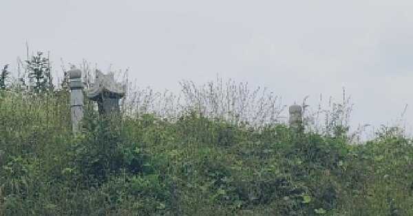 충청북도 옥천군 동이면 청마리 367  임야 경매 물건 이미지