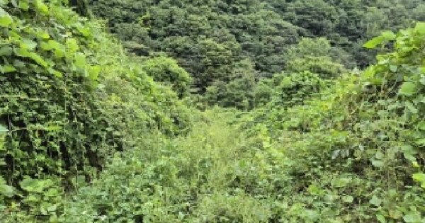 전북특별자치도 완주군 운주면 산북리 1077  대지 경매 물건 이미지
