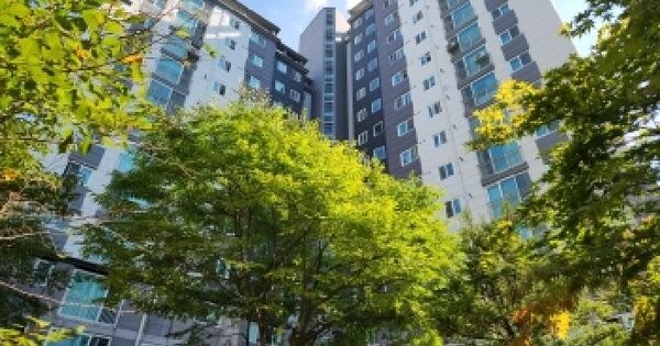 경기도 남양주시 진접읍 금곡리 1115 진접신도브래뉴아파트 2205동 12층1203호 아파트 경매 물건 이미지