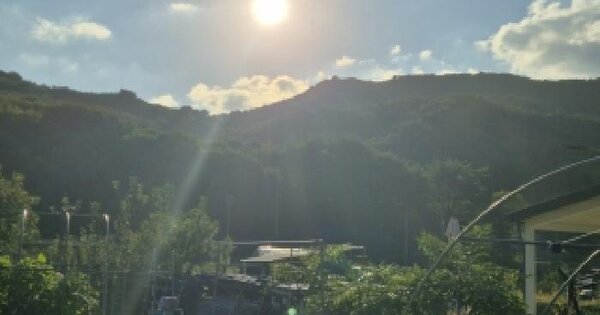 경상북도 경주시 산내면 대현리 산236  임야 경매 물건 이미지