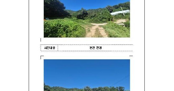 전남광주통합특별시 함평군 손불면 대전리 산49  임야 경매 물건 이미지