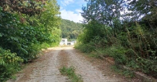 강원특별자치도 춘천시 신동면 증리 105-18  대지 경매 물건 이미지