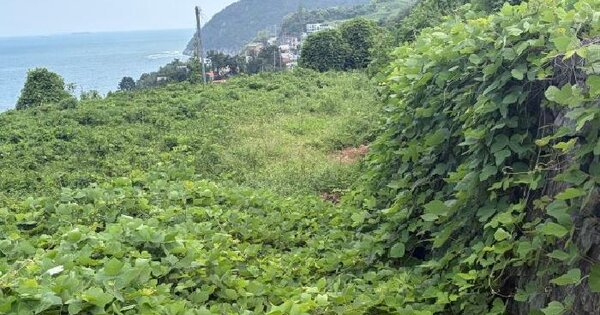 경상남도 거제시 장목면 시방리 349  답 경매 물건 이미지