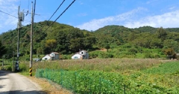 강원특별자치도 춘천시 남산면 백양리 511-5  답 경매 물건 이미지