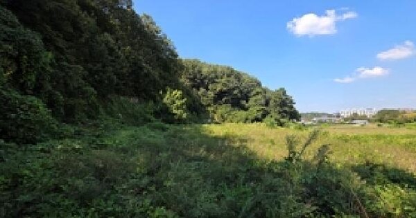 충청남도 예산군 덕산면 신평리 317-11  임야 경매 물건 이미지
