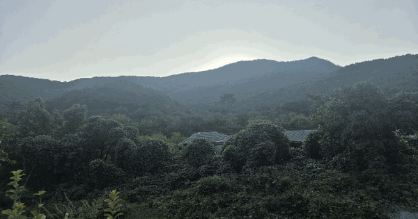 충청남도 부여군 외산면 만수리 25-12  임야 경매 물건 이미지