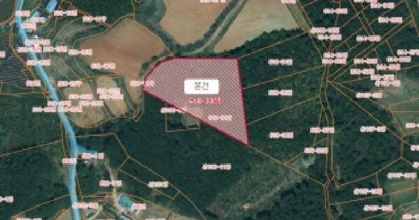 충청남도 서산시 지곡면 환성리 518-33  임야 경매 물건 이미지