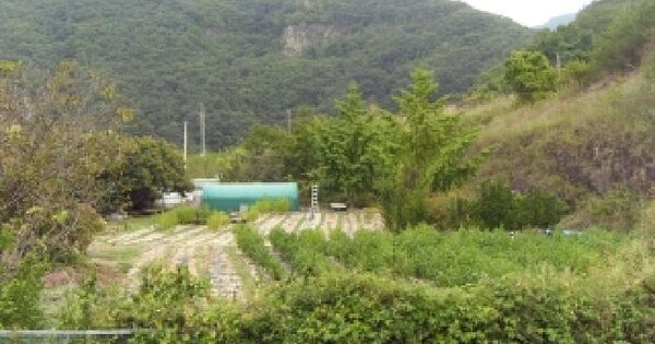경상북도 칠곡군 가산면 용수리 26-1  전 경매 물건 이미지