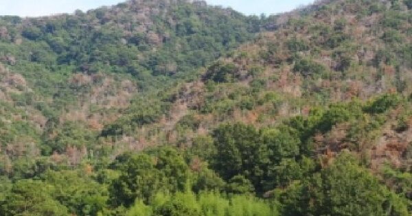경상남도 밀양시 삼랑진읍 숭진리 272  답 경매 물건 이미지