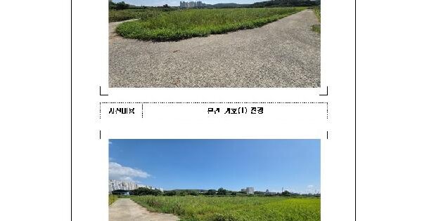 전남광주통합특별시 영암군 삼호읍 용앙리 1118-1  답 경매 물건 이미지