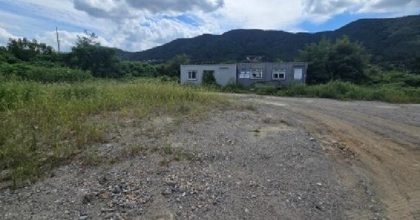 울산광역시 울주군 두동면 은편리 142-1  답 경매 물건 이미지