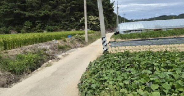충청남도 금산군 부리면 평촌리 547-2  답 경매 물건 이미지
