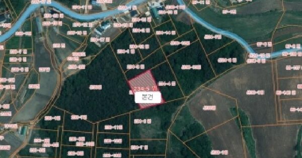 충청남도 서산시 대산읍 대로리 234-5  임야 경매 물건 이미지
