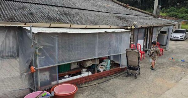 경기도 이천시 율면 신추리 347-1  대지 경매 물건 이미지